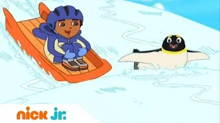 Гоу, Диего, Гоу! | Спасательный комплект | Nick Jr. Россия