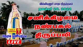 26 November 2022 @ 11.30 AM Tamil Mass | Villianur Lourdes Shrine | Holy Cross Tv | Daily Tv Mass