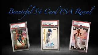 Beautiful 54 Card PSA Reveal 🔥💵 Awesome Gem Rate 💎