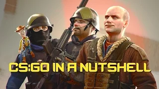 CS:GO IN A NUTSHELL Director's Cut (SFM Animation)