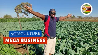 Meet Zimbabwe's Millionaire Farmer, Thriving Agribusiness