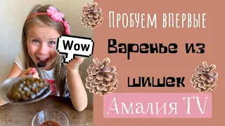 Варенье из шишек. Пробуем впервые необычное варенье. Дегустация