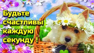 🌞🌼Доброе  утречко   благословенного дня!🌞Красивая музыкальная открытка