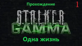 S T A L K E R  Anomaly 1 5 2 GAMMA ЧЕСТНОЕ прохождение ГАЙД и ОДНА ЖИЗНЬ! №1