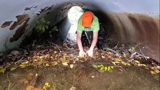 Removing Even Bigger Beaver Dam Flooding Street