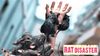 Rat Disaster (2021) Film Explained in Hindi / Urdu | Rat Disasters Junkrat Train Summarized हिन्दी