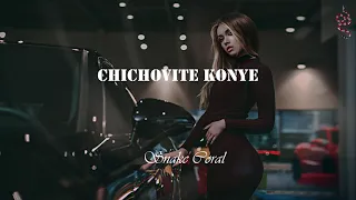 Bulgarian trap "Chichovite Konye" / Remix (prod. by SnakeCoral)