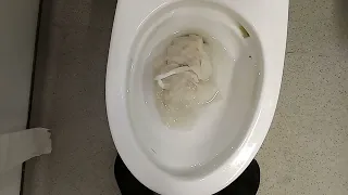 TOTO Toilet Vs Toilet Paper