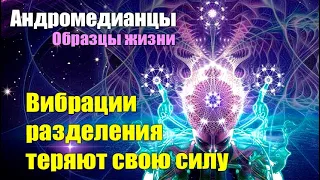 Мы хотим подарить каждой душе на Земле все что мы представляем как аспект и выражение Творца