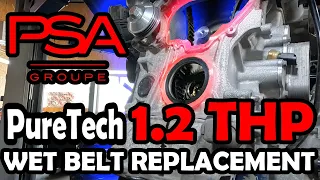 1.2 THP PSA Engine wet timing belt replacement guide EASIER than you think! Fast & easy guide