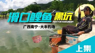 黑坑滑口鲤鱼钓法思路，无限火箭口就是打不到的时候，可以这样调整试试【游钓黑坑疯子】