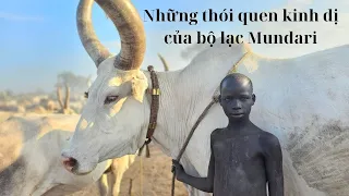 Strange cow-related habits of the Mundari tribe 😳😶 (Part 2)