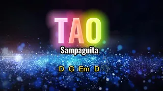 Tao (by Sampaguita) lyrics & chords