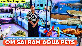 Om Sai Ram Aqua Pets New Stock, Arowana| Payara Fish | Monster Fish | Stingrays | Turtles & More