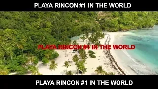 Best beach in the world Playa Rincon Samana Cano Frio River dominican republic