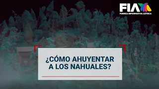 El Nahual, una de las leyendas más ATERRADORAS de México