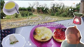 Terminando Febrero, Lluvia, preparo Fajitas - Mini-Vlog #29 - CrazyPolitha