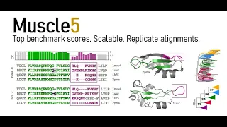 Multiple alignment ensembles in Muscle v5