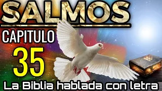 🔴SALMO 35 hablado con letra (Plegaria pidiendo ser librado de los enemigos)LA BIBLIA HABLADA📥Audio👇🏻