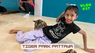 Tiger Park Pattaya - Playing with Tiger Cub #tigerpark #pattaya #thailand #vacation #adventure