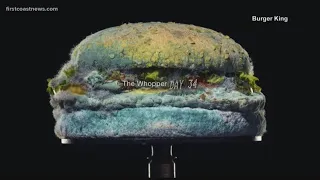 Burger King ad proudly features a mold-covered burger, here's why