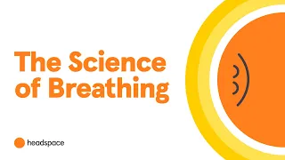 How Does Breathing Impact The Brain? Learn From A Neuroscientist