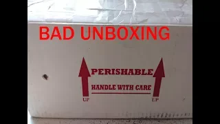 UNBOXING BALL PYTHONS - NOT HAPPY