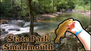 State park creek fishing (Bass &Trout)