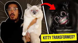 I Purchased An ADORABLE Kitten Off The Dark Web...  (IT TRANSFORMED AND ATTACKED US!!)