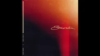 Shawn Mendes & Camila Cabello - Señorita (Radio Disney Version)