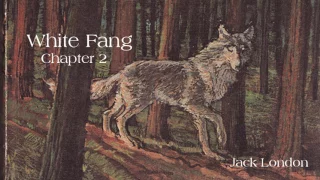 Jack London's: White Fang chapter 2