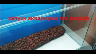 Запуск аквариума 100 литров