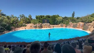 Loro Parque, Лоро Парк Канарские Острова, Тенерифе