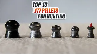 Best 177 Pellets for Hunting - Madman Review