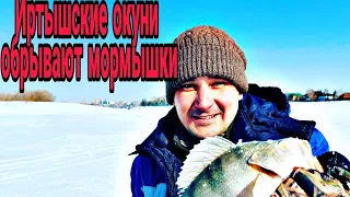 🐟Зимняя рыбалка!Иртышские Окуни отрывают мормышки!г.Павлодар