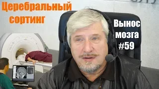 «Церебральный сортинг» Сергей Савельев (Вынос мозга #59)