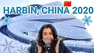 WELCOME TO HARBIN, CHINA | SIBERIAN TIGER PARK | TIGER FEEDING EXPERIENCE | OPERA HOUSE IN CHINA