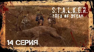 #14 Идём охотиться на болота! STALKER: AREA OF DECAY. Сталкер рп. Stalker rp. DayZ rp. ДейЗ рп Рп Rp