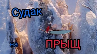 Ловля судака зимой. Рыбалка на ПРЫЩ.