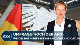 UMFRAGE-HOCH DER AFD: Parteivorsitzende Alice Weidel hat Interesse an Kanzlerkandidatur
