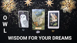 OWL GUIDE | What do you need to know about your dreams?