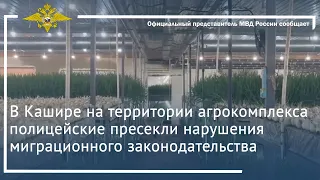 Ирина Волк: В Кашире полицейские пресекли нарушения миграционного законодательства