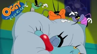 Oggy und die Kakerlaken | Schlafen Kompilation   | Volledige aflevering in HD