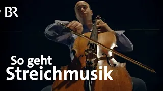Mitten im RO: Die Streicher | Münchner Rundfunkorchester | BR KLASSIK