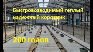 Коровник на 200 голов под ключ