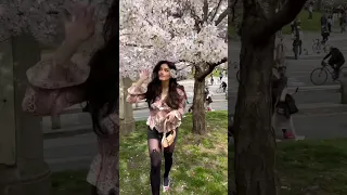 People’s-reactions #elegant #cherryblossom #reactionvideo #reaction #centralpark #viral #viralshorts