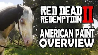 American Paint Overview | Red Dead Redemption 2 Horses