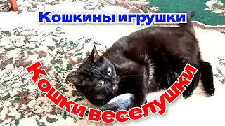 Кошки веселушки. Кошкины игрушки.