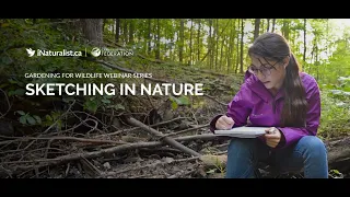 CWF Webinar: Sketching in Nature