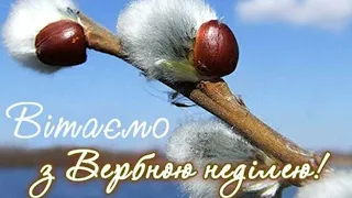 З Вербною Неділею!Гарне привітання українською мовою.